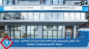 بنك حكومي يطرح فرص عمل 2025 لحملة الحسابات والمالية.. تعرف على شروط التقديم ومسؤوليات الوظيفة